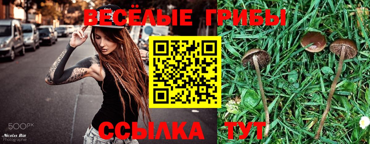Минусинск  Галлюциногенные грибы Magic Shrooms  Вход с VPN  Галлюциногенные грибы MAGIC MUSHROOMS 