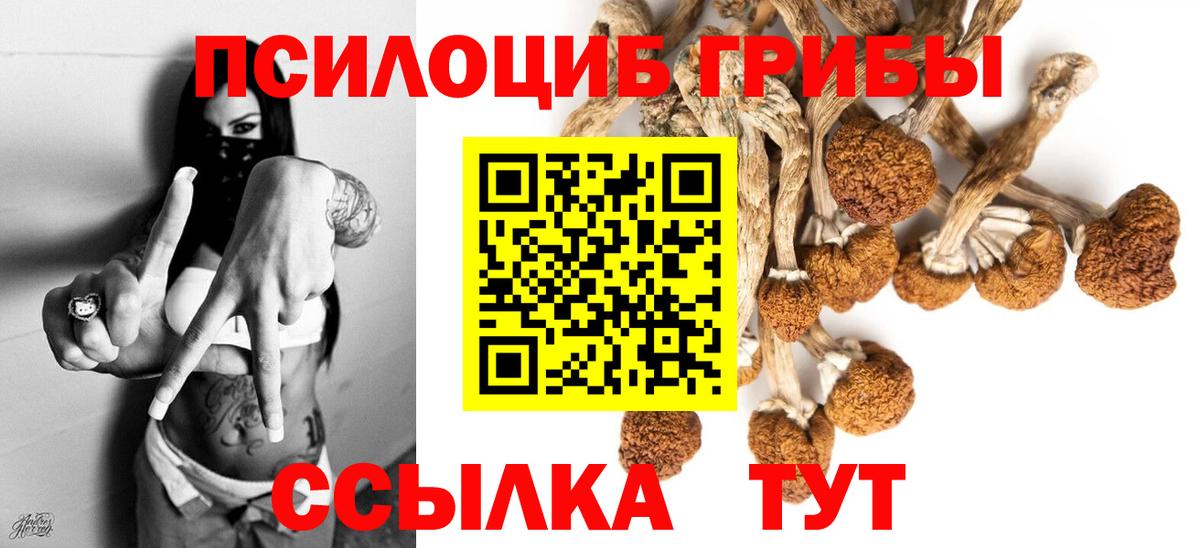 Псилоцибиновые грибы мухоморы Минусинск